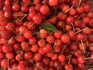 Sour Cherries
