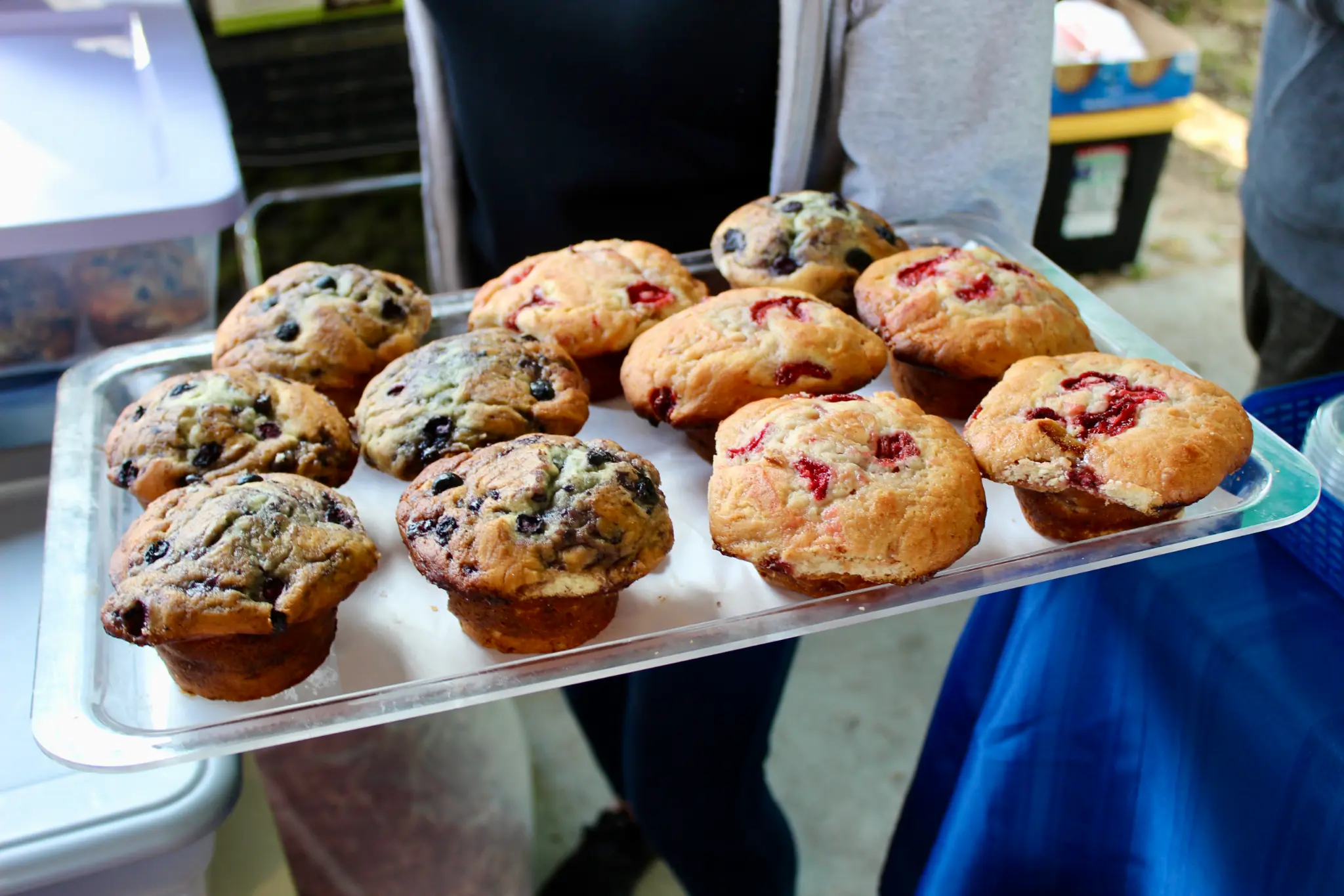 Blueberry & Strawberry Cream Cheese Breakfast Muffins